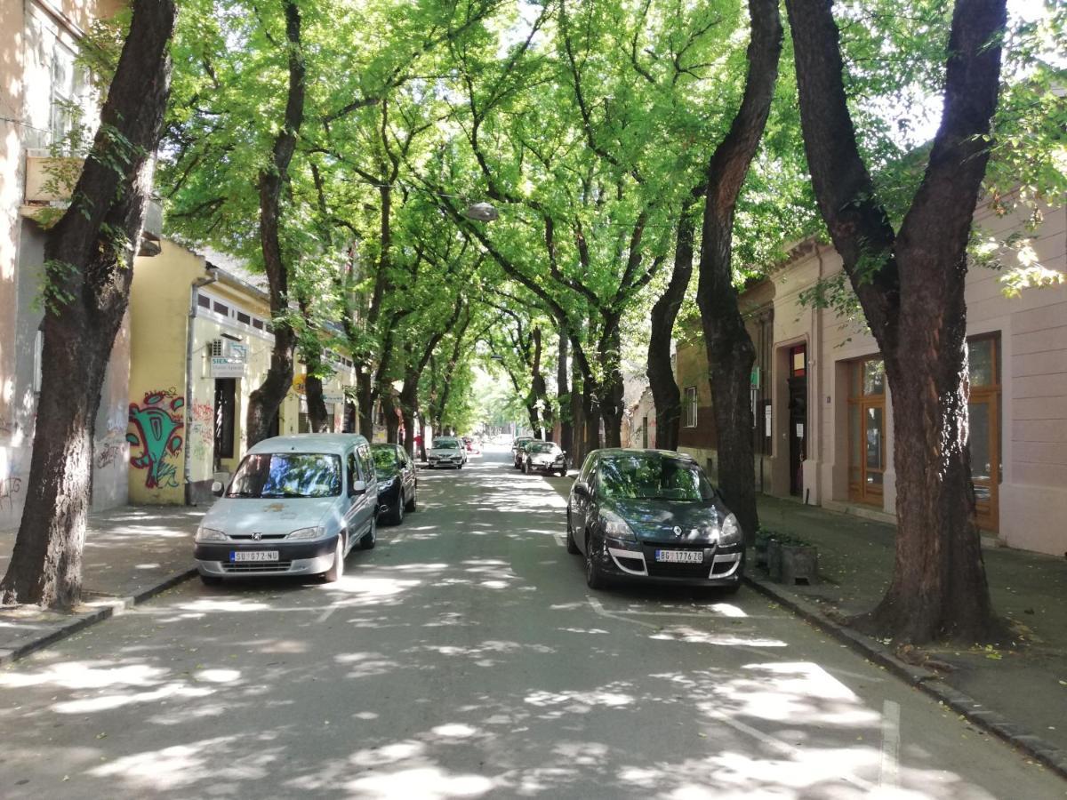 Apartman Park Subotica Exterior foto